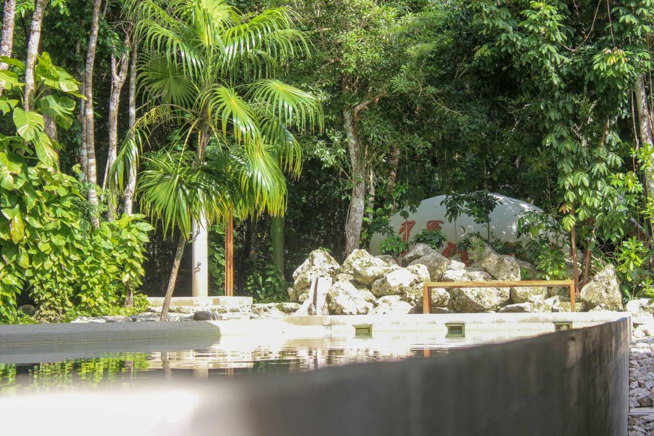 Apartments In Gated Residential Within Bahia Principe Grounds อากุมัล ภายนอก รูปภาพ